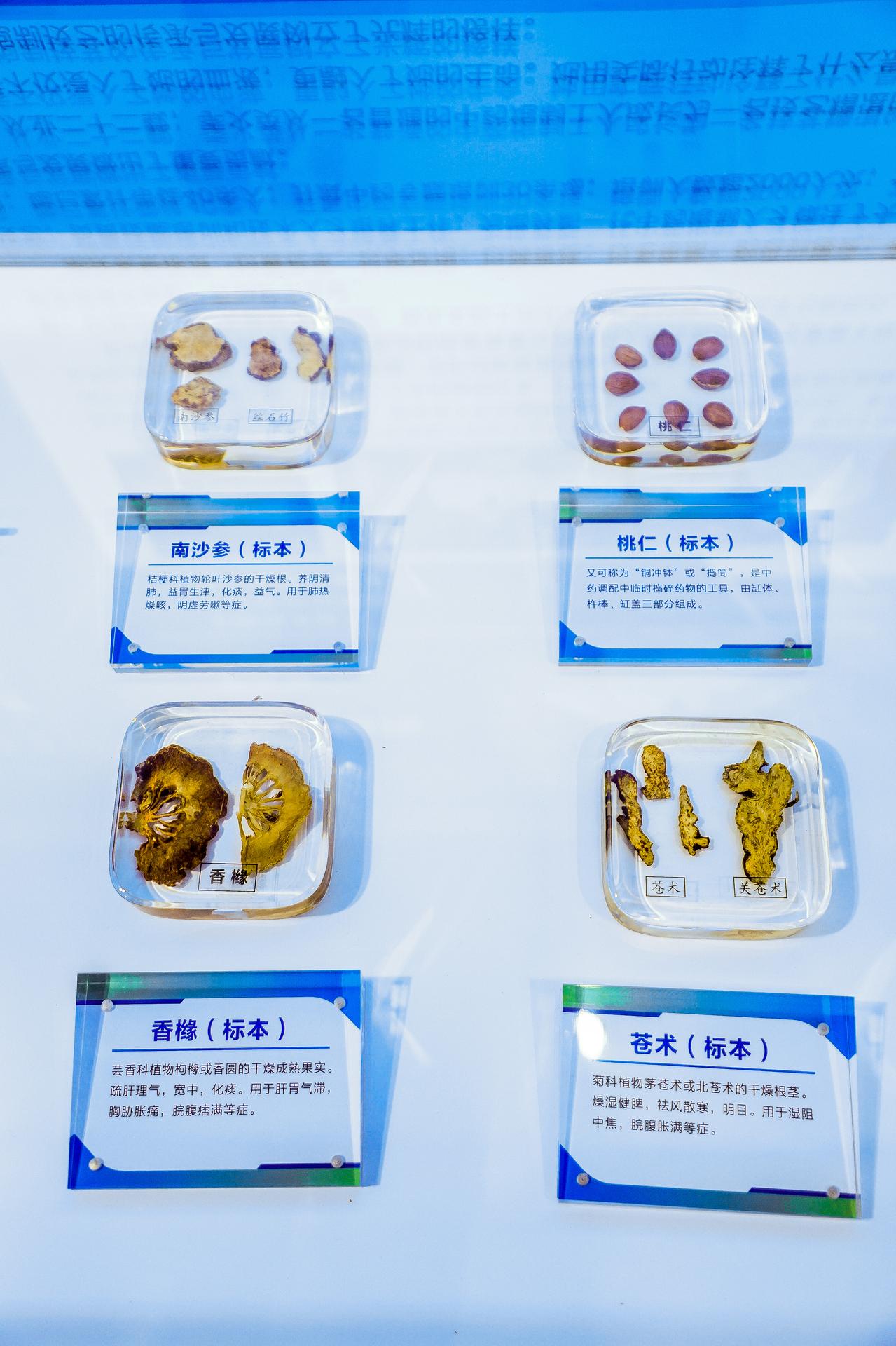 杭州医疗摄影-“医路匠心 健康同行”生物医药与医疗器械产业集群职工创新主题展馆【图片直播】-现场照片-2