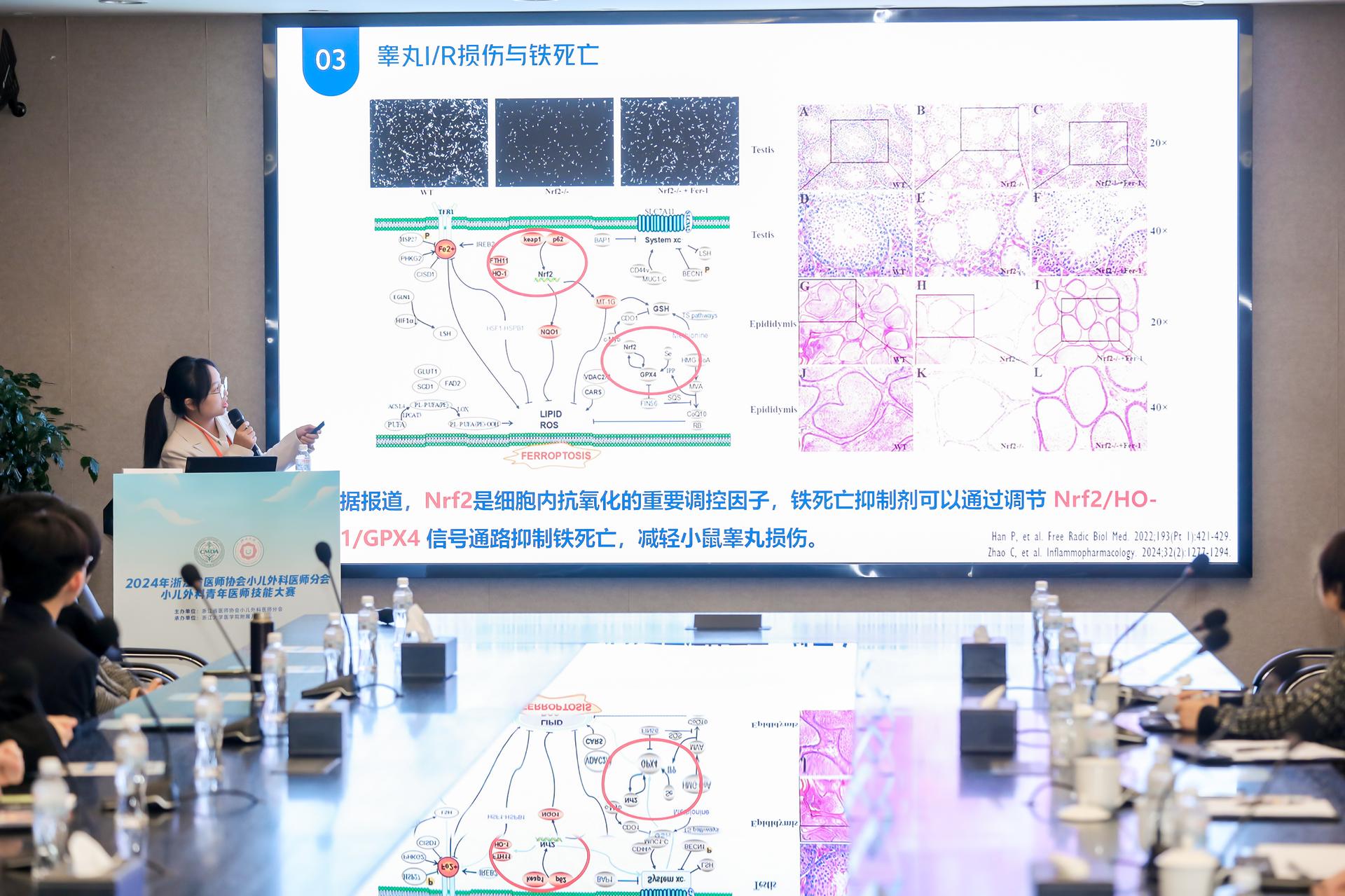 杭州医疗赛事活动摄影-2024年浙江省医师协会小儿外科医师分会小儿外科青年医师技能大赛【图片直播】-现场照片-7