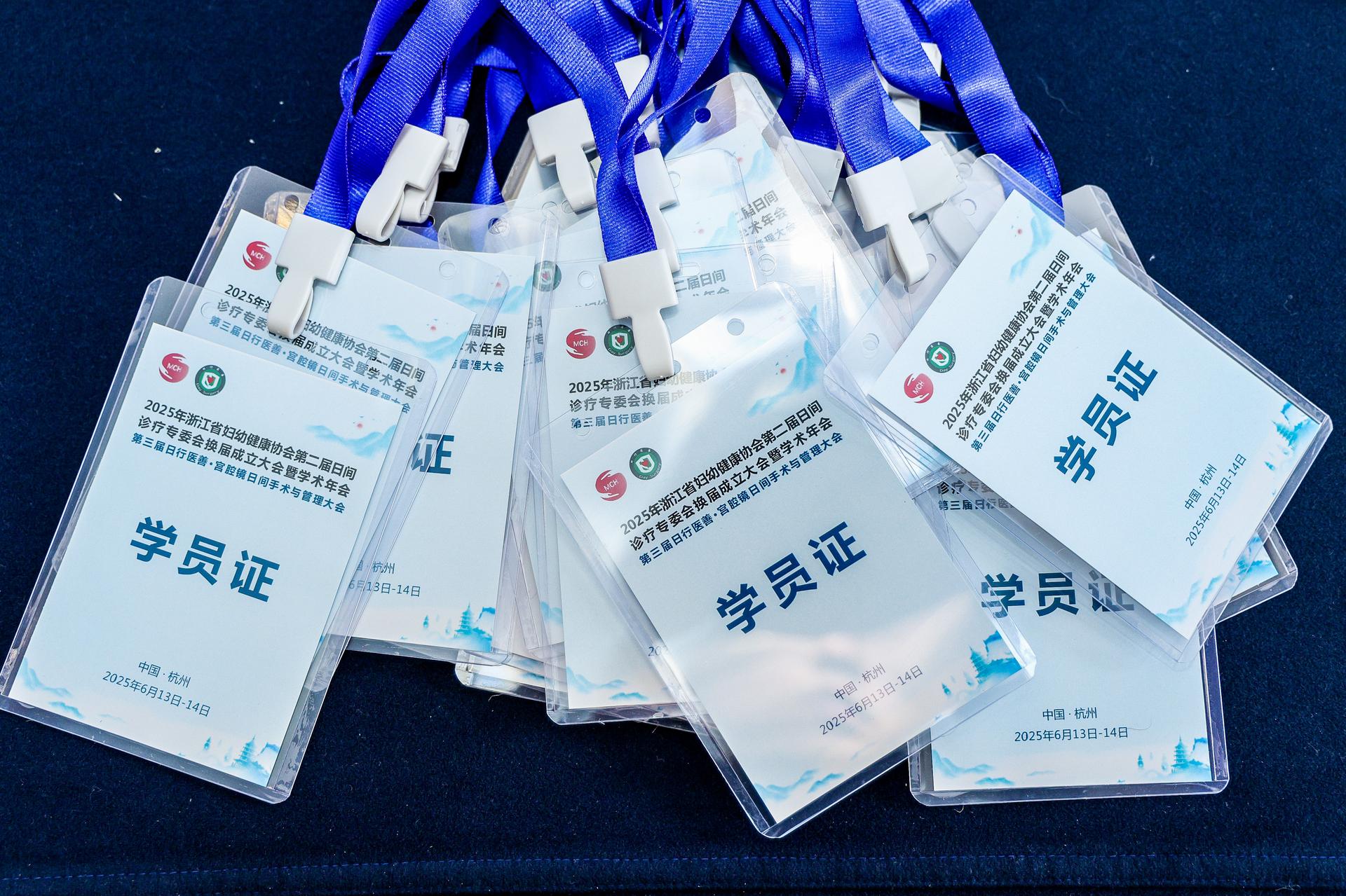 杭州会议摄影-2025年浙江省妇幼健康协会第二届日间诊疗专委会换届成立大会暨学术年会【图片直播】-现场照片-3