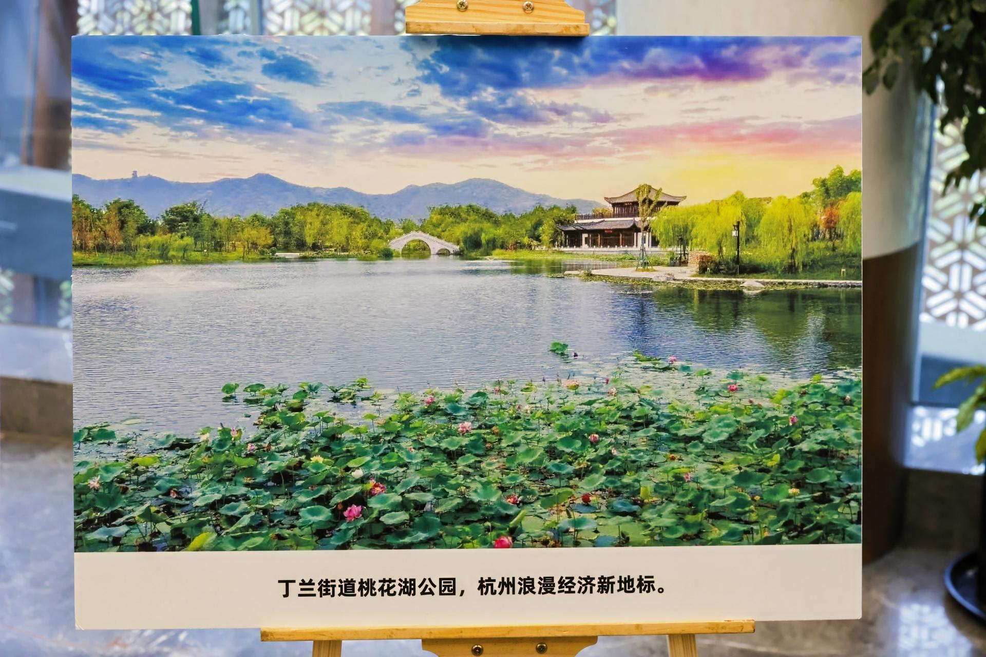 杭州会议摄影-践行“两山”二十载 共绘“都市新桃源，绿水青山就是金山银山”20周年主题宣讲活动【图片直播】-现场照片-1