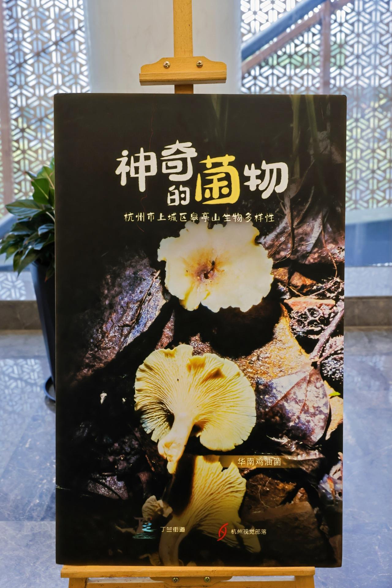 杭州会议摄影-践行“两山”二十载 共绘“都市新桃源，绿水青山就是金山银山”20周年主题宣讲活动【图片直播】-现场照片-7